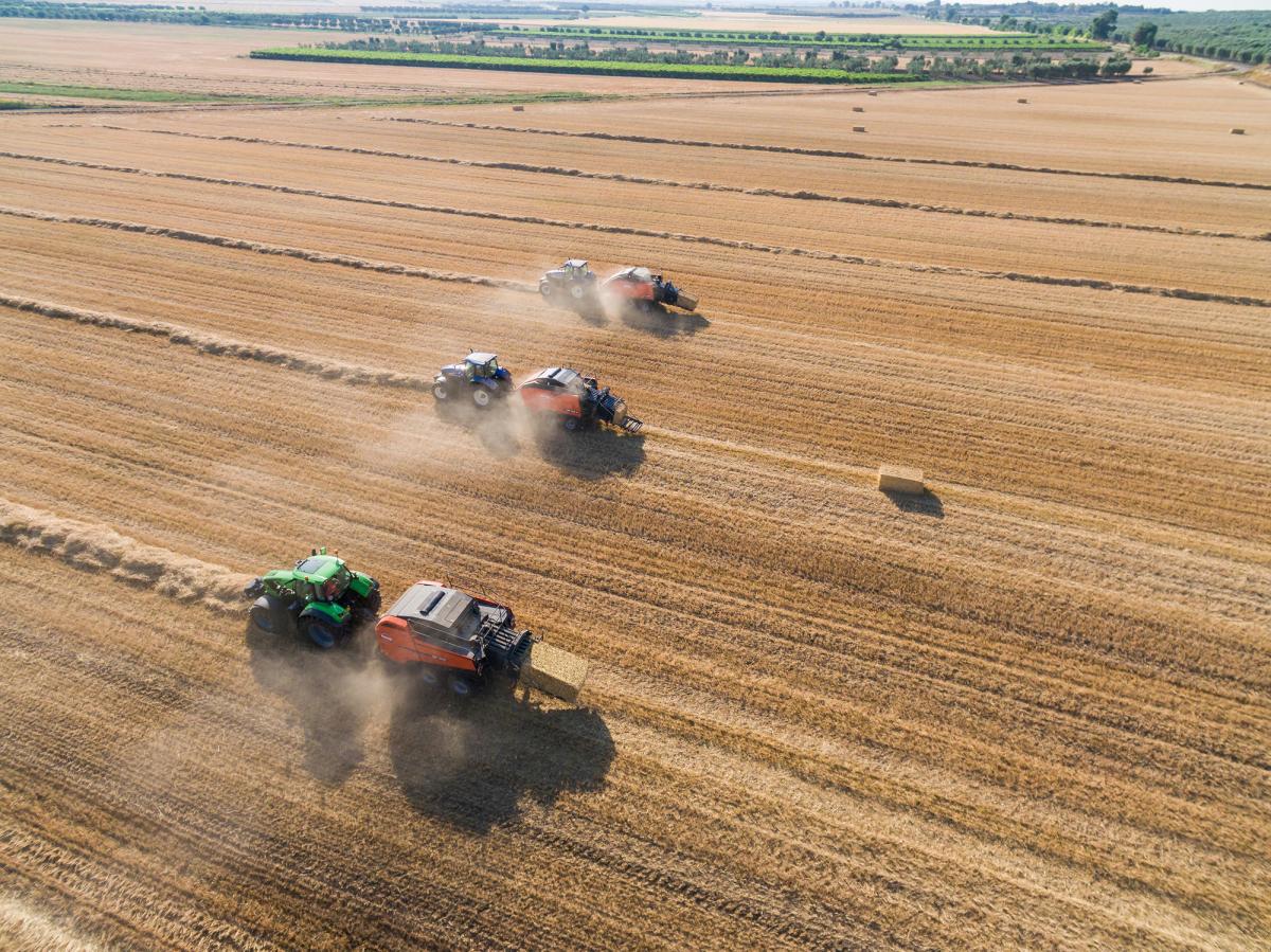 KUHN SB 890 - immagine 2