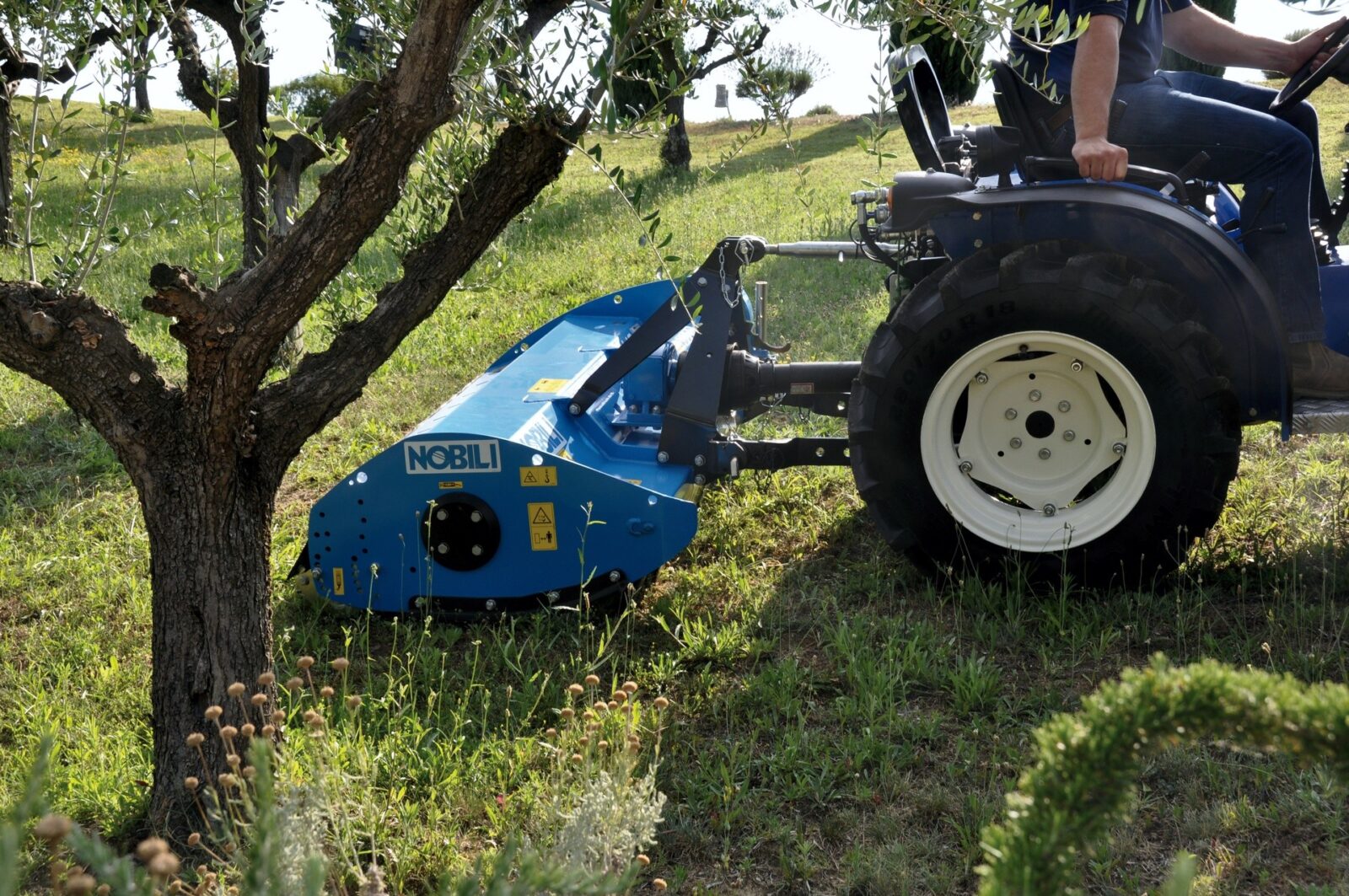 NOBILI BV serie 10 - immagine 3
