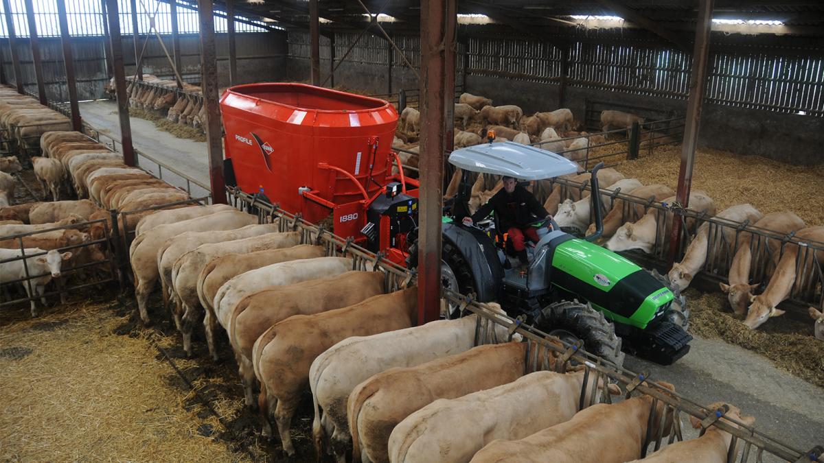 KUHN PROFILE CROSSMIX 2 CS - immagine 3