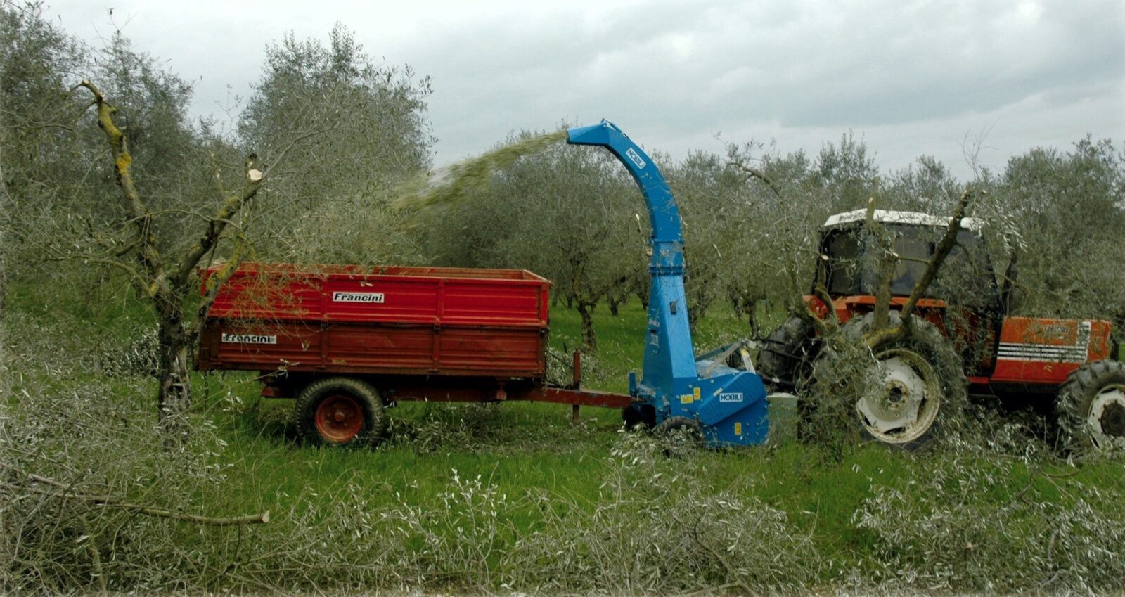 NOBILI TRP-CV - immagine 3