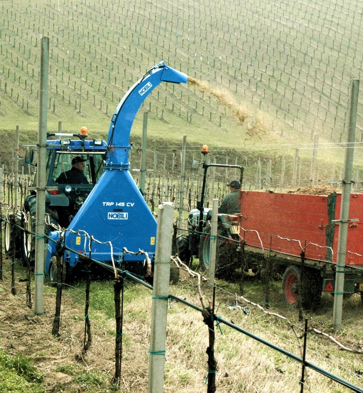 NOBILI TRP-CV - immagine 2