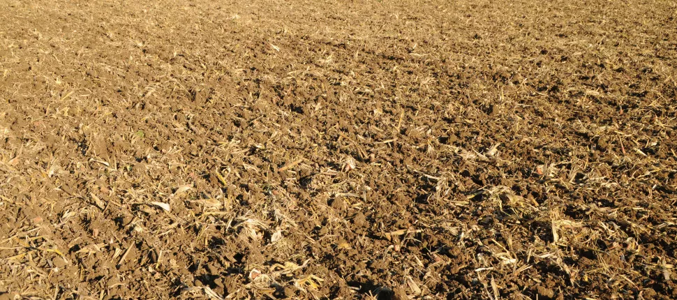 COME CAMBIERA’ L’AGRICOLTURA