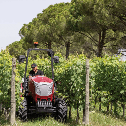 McCormick X4 F-GE-GB-XL - immagine 3