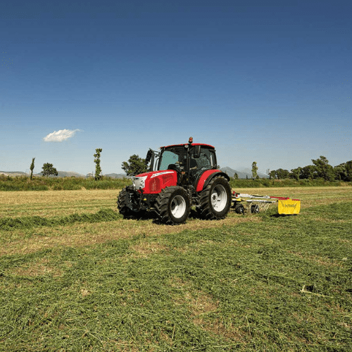 McCormick X5.085 - immagine 2